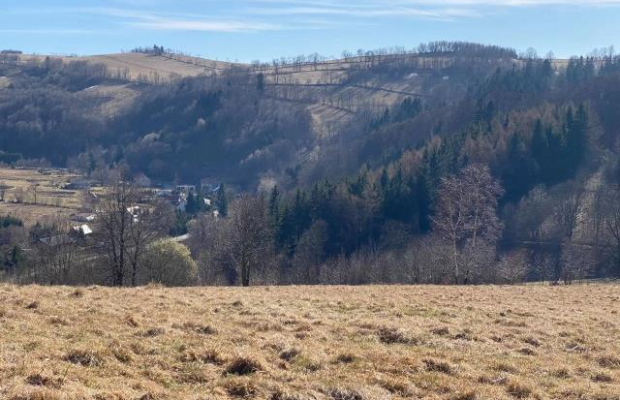 Działka w Górach Sowich