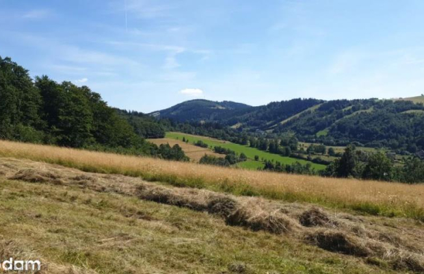 Działka w Górach Sowich