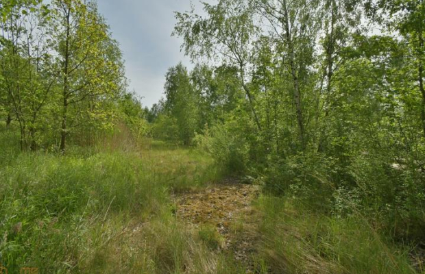 Działka przemysłowa Wałbrzych