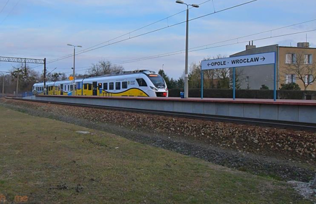 Piękna działka blisko lasu, Miłoszyce