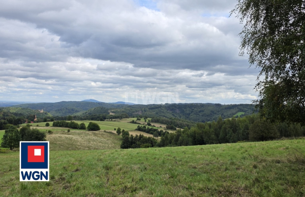 Niedźwiedzica, grunt o powierzchni 3000 m2, cena 305 000 zł, sprzedam.  
  
Na sprzedaż atrakcyjna działka o numerze ewidencyjn