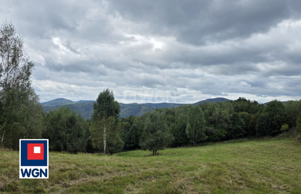 Niedźwiedzica, grunt o powierzchni 3000 m2, cena 305 000 zł, sprzedam.  
  
Na sprzedaż atrakcyjna działka o numerze ewidencyjn