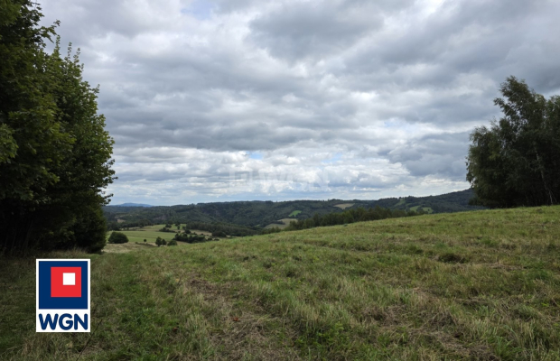 Niedźwiedzica, grunt o powierzchni 3000 m2, cena 305 000 zł, sprzedam.  
  
Na sprzedaż atrakcyjna działka o numerze ewidencyjn