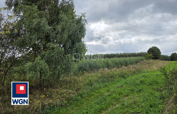 Niedźwiedzica, grunt o powierzchni 3000 m2, cena 305 000 zł, sprzedam.  
  
Na sprzedaż atrakcyjna działka o numerze ewidencyjn