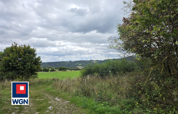 Niedźwiedzica, grunt o powierzchni 3000 m2, cena 305 000 zł, sprzedam.  
  
Na sprzedaż atrakcyjna działka o numerze ewidencyjn