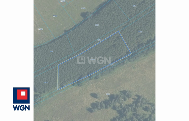 Niedźwiedzica, grunt o powierzchni 3000 m2, cena 305 000 zł, sprzedam.  
  
Na sprzedaż atrakcyjna działka o numerze ewidencyjn