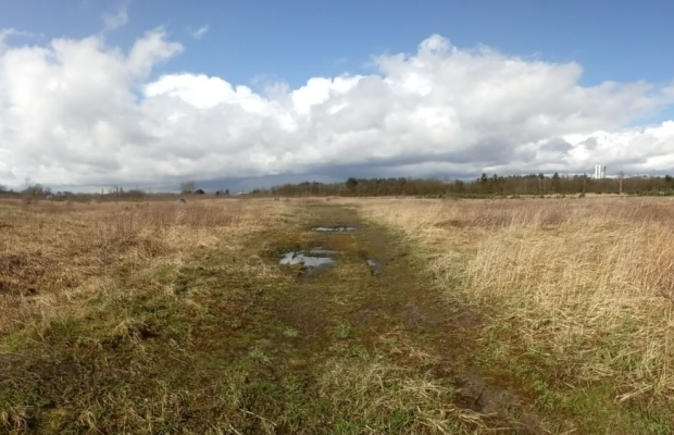 Logistyka magazyny produkcja