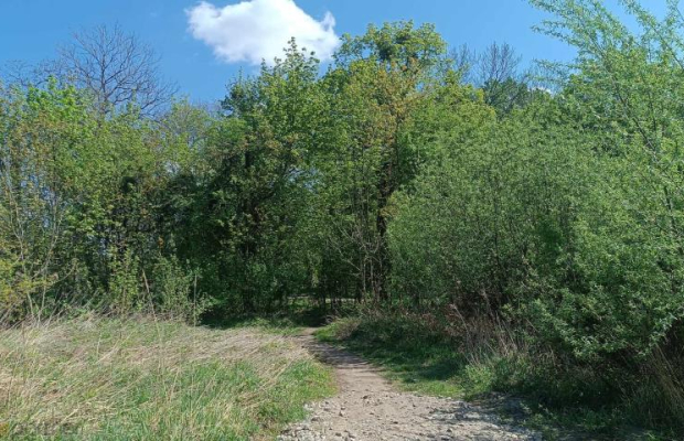 MIESZKANIE 4 POK. Z BALKONEM PRZY PARKU