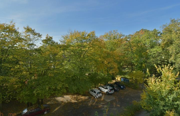 Mieszkanie 3-pokojowe przy parku, Hallera