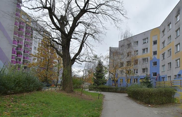 Ciche 2 pokoje z oddzielna kuchnią