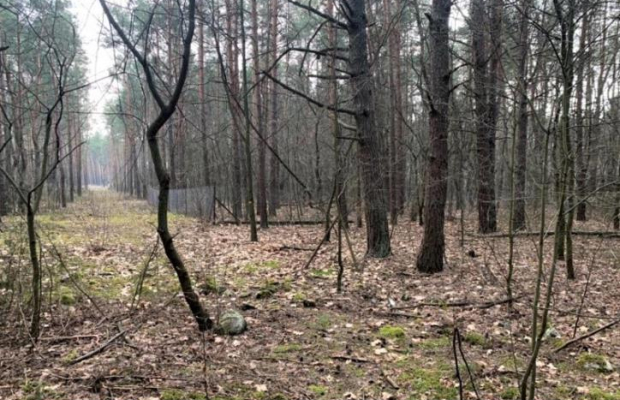 Sprzedam super działkę inwestycyjno-budowlaną .