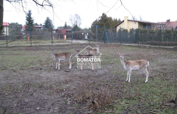 Dom z działką ok. 4000 m2 Prądocin