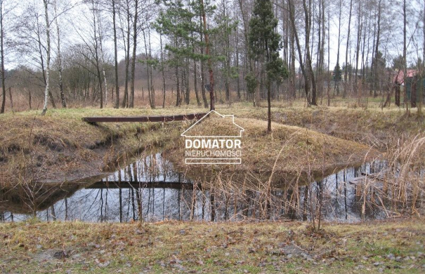 Dom z działką ok. 4000 m2 Prądocin