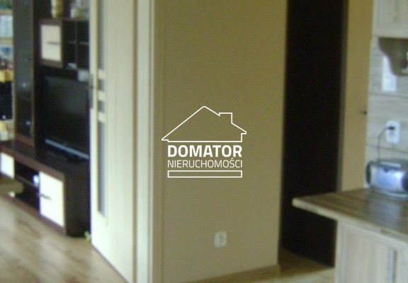 Dom wolnostojący - 2 osobne mieszkania Tryszczyn 