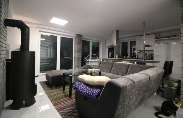 Dom z lokalem użytkowym 380 m2 Lisi Ogon