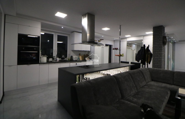 Dom z lokalem użytkowym 380 m2 Lisi Ogon