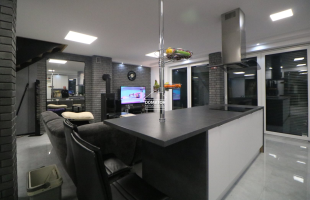 Dom z lokalem użytkowym 380 m2 Lisi Ogon