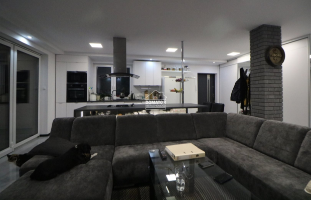 Dom z lokalem użytkowym 380 m2 Lisi Ogon