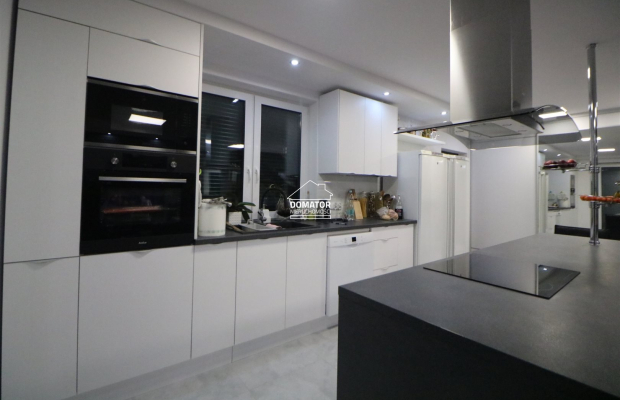 Dom z lokalem użytkowym 380 m2 Lisi Ogon