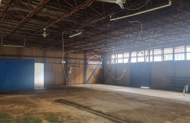 HALA DO WYNAJĘCIA - IDEALNA NA MAGAZYN LUB PRODUKCJĘ         

    Do wynajęcia przestronna hala o przeznaczeniu magazynowo-pro