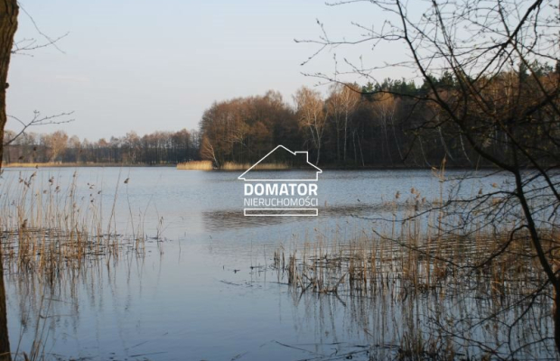 Działka 21000 m2 w Borach Tucholskich.