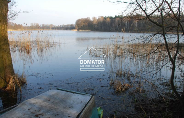 Działka 21000 m2 w Borach Tucholskich.