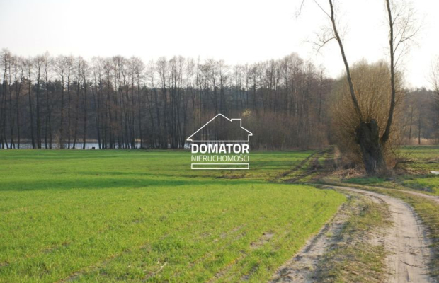 Działka 21000 m2 w Borach Tucholskich.