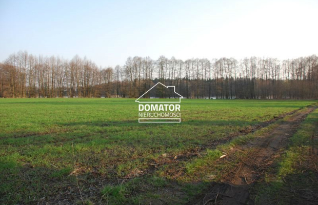 Działka 21000 m2 w Borach Tucholskich.