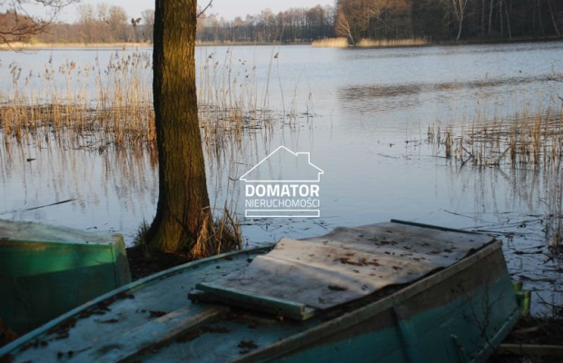 Działka 21000 m2 w Borach Tucholskich.