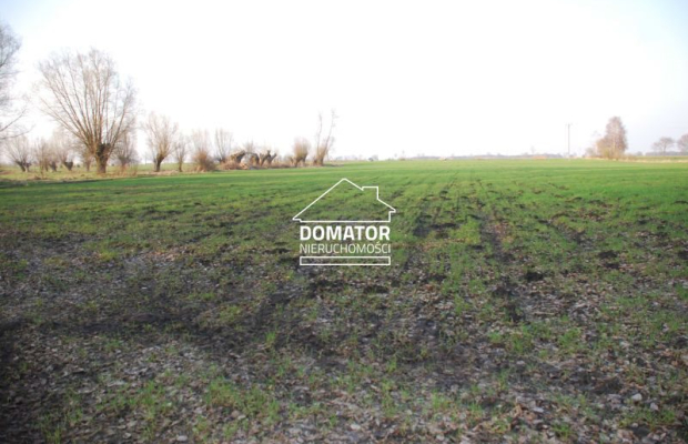 Działka 21000 m2 w Borach Tucholskich.