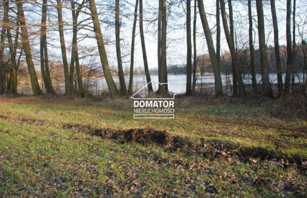 Działka 21000 m2 w Borach Tucholskich.