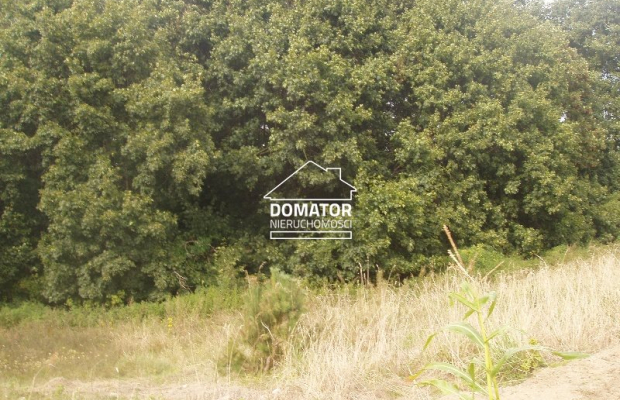 Działki Wierzchucinek