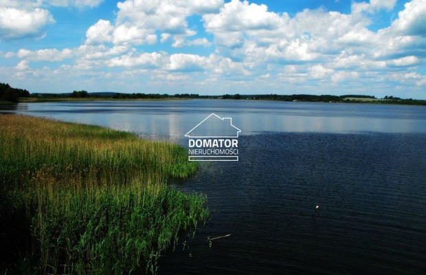 Działka 2,5 ha - Pturek 