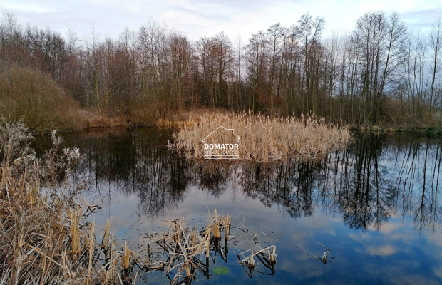 Działka rekreacyjna z własnym stawem