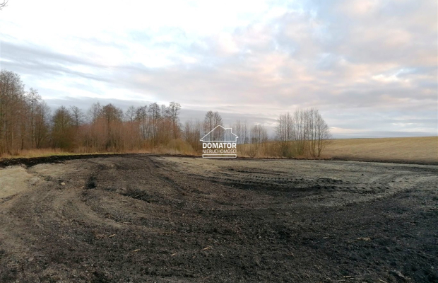 Działka rekreacyjna z własnym stawem