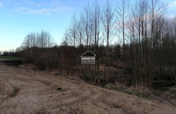 Działka rekreacyjna z własnym stawem