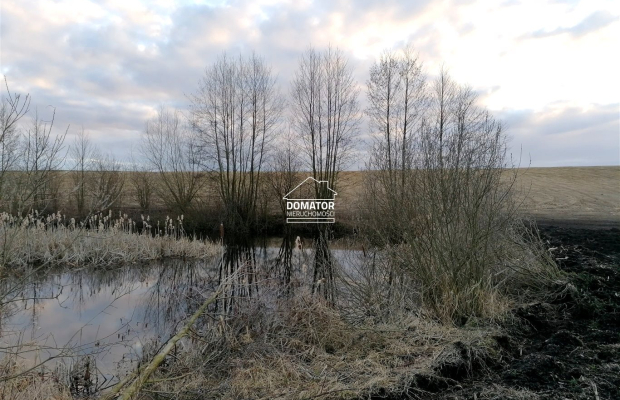 Działka rekreacyjna z własnym stawem