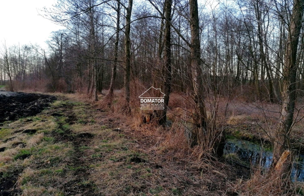 Działka rekreacyjna z własnym stawem