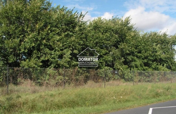 Działka 7360m2 w Jordanowie