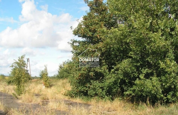 Działka 7360m2 w Jordanowie