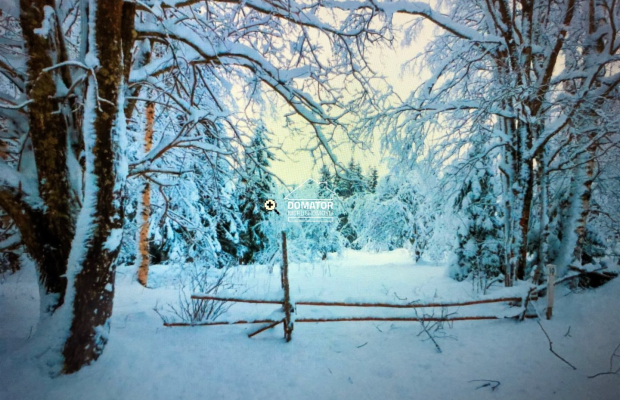 Dziłka leśna z warunkami zabudowy 1400 m2!