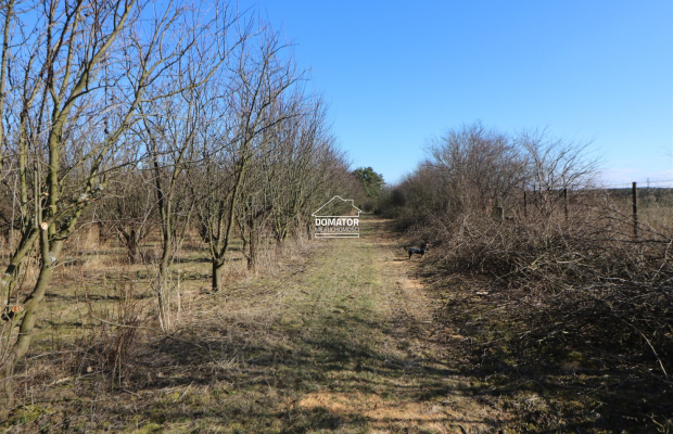 Działka 3012 m2 Tryszczyn