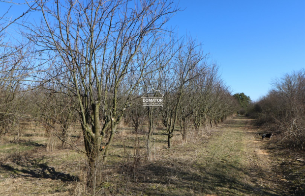 Działka 3012 m2 Tryszczyn