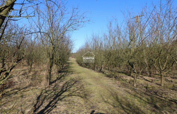 Działka 3012 m2 Tryszczyn