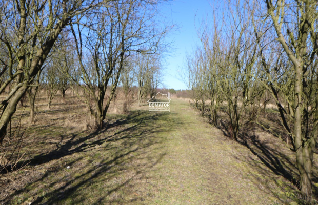 Działka 3012 m2 Tryszczyn