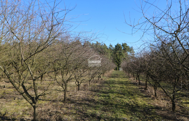 Działka 3012 m2 Tryszczyn