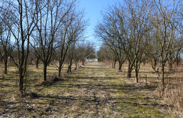 Działka 3012 m2 Tryszczyn