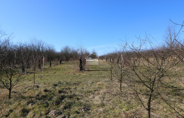 Działka 3012 m2 Tryszczyn