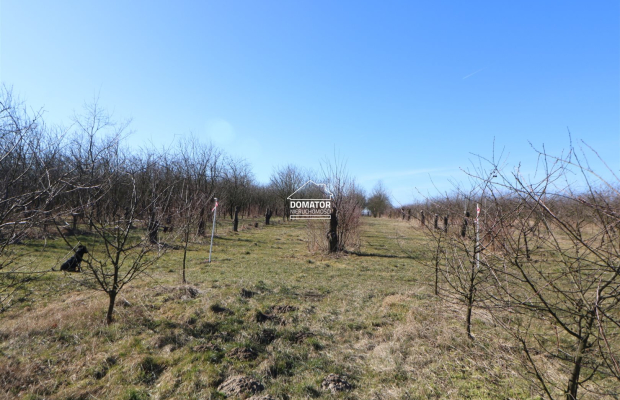 Działka 3012 m2 Tryszczyn