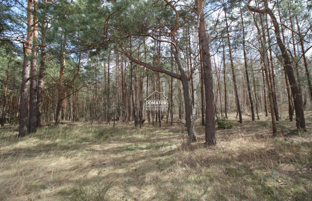 Atrakcyjna Działka w Solcu Kujawskim!